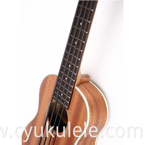 ukulele4